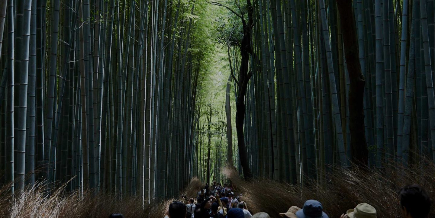 京都の竹林を通る人々