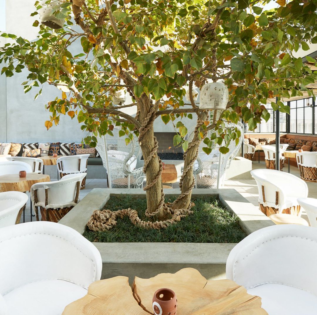 Patio with tables and chairs surrounding a tree