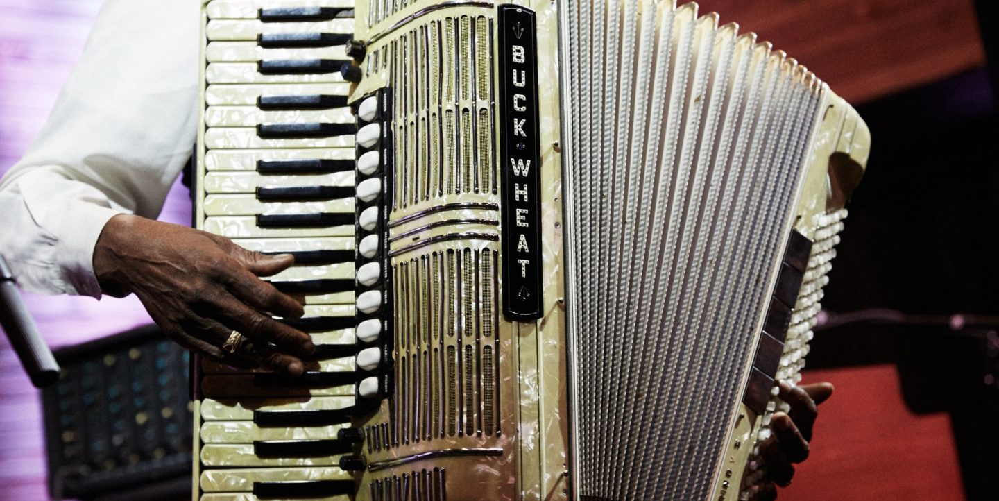 A close-up shot of a man playing an accordion