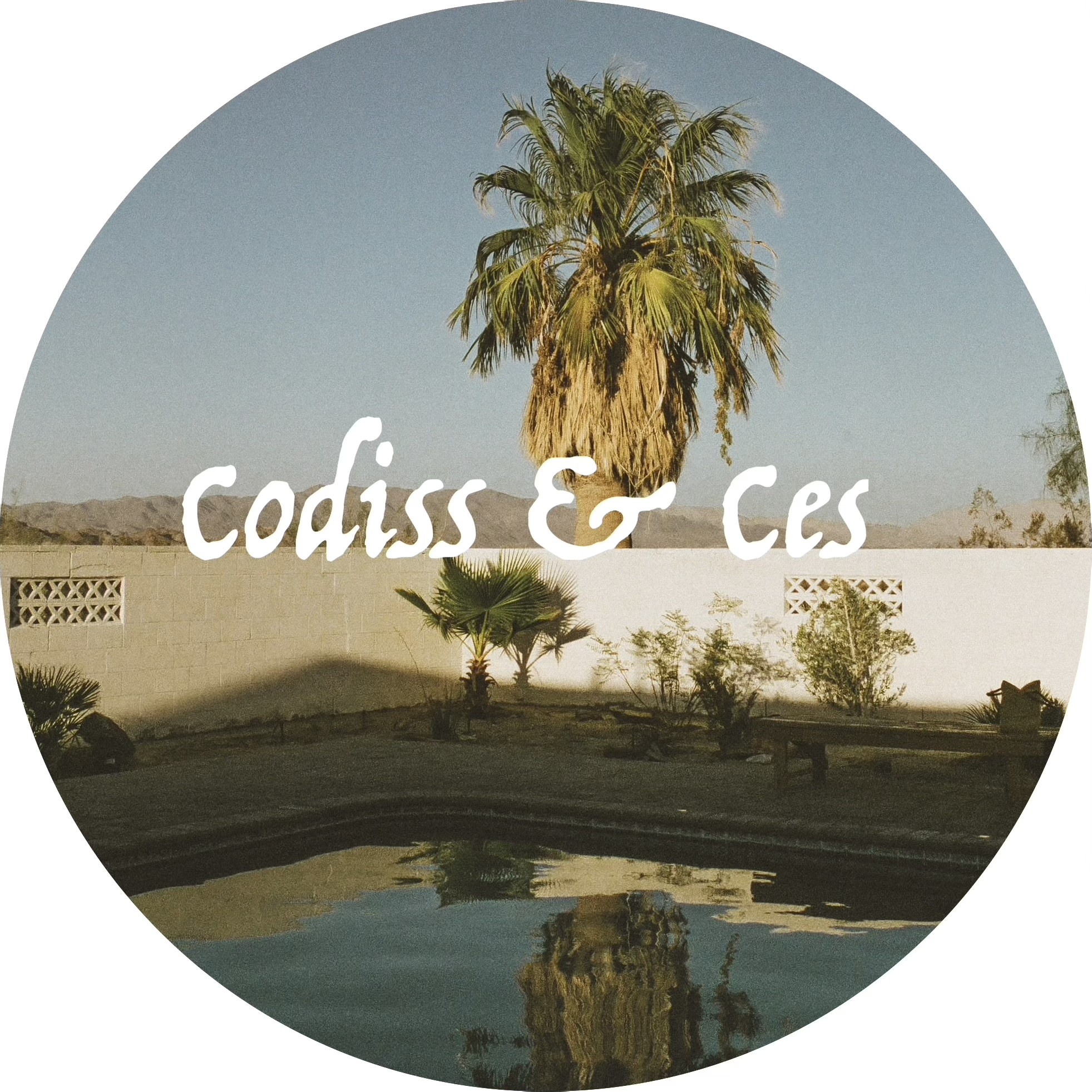 Codiss and Ces promo