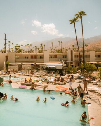 Ace Hotel Palm Springs | Your Downtown Palm Springs Oasis