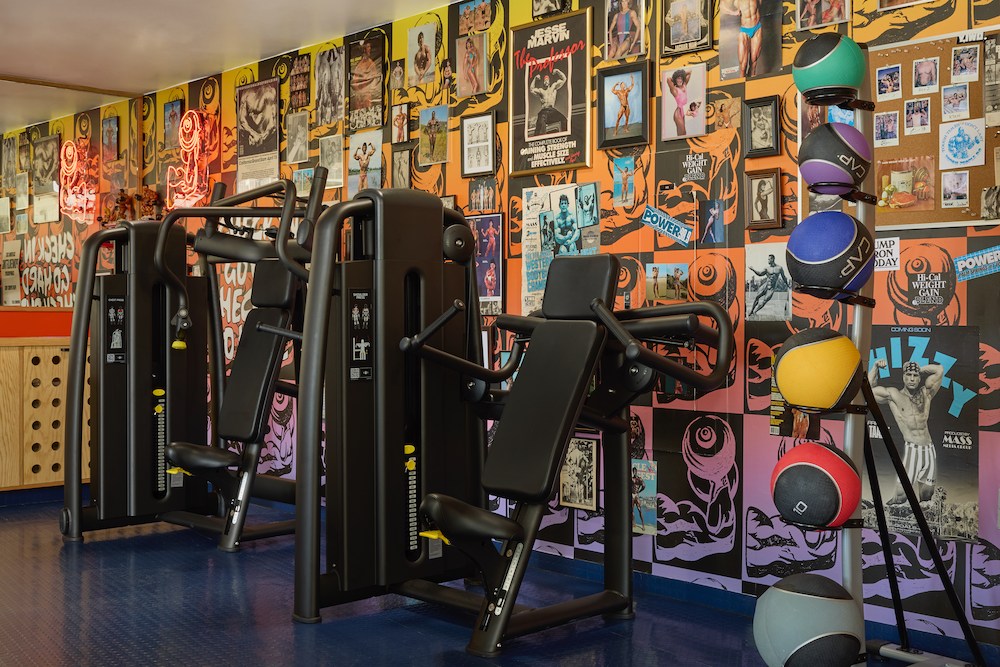 Palm Springs Gym equipment includes medicine balls, shoulder press Machine and chest press machine.