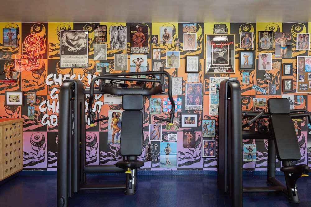Palm Springs Gym equipment includes shoulder press Machine and chest press machine.