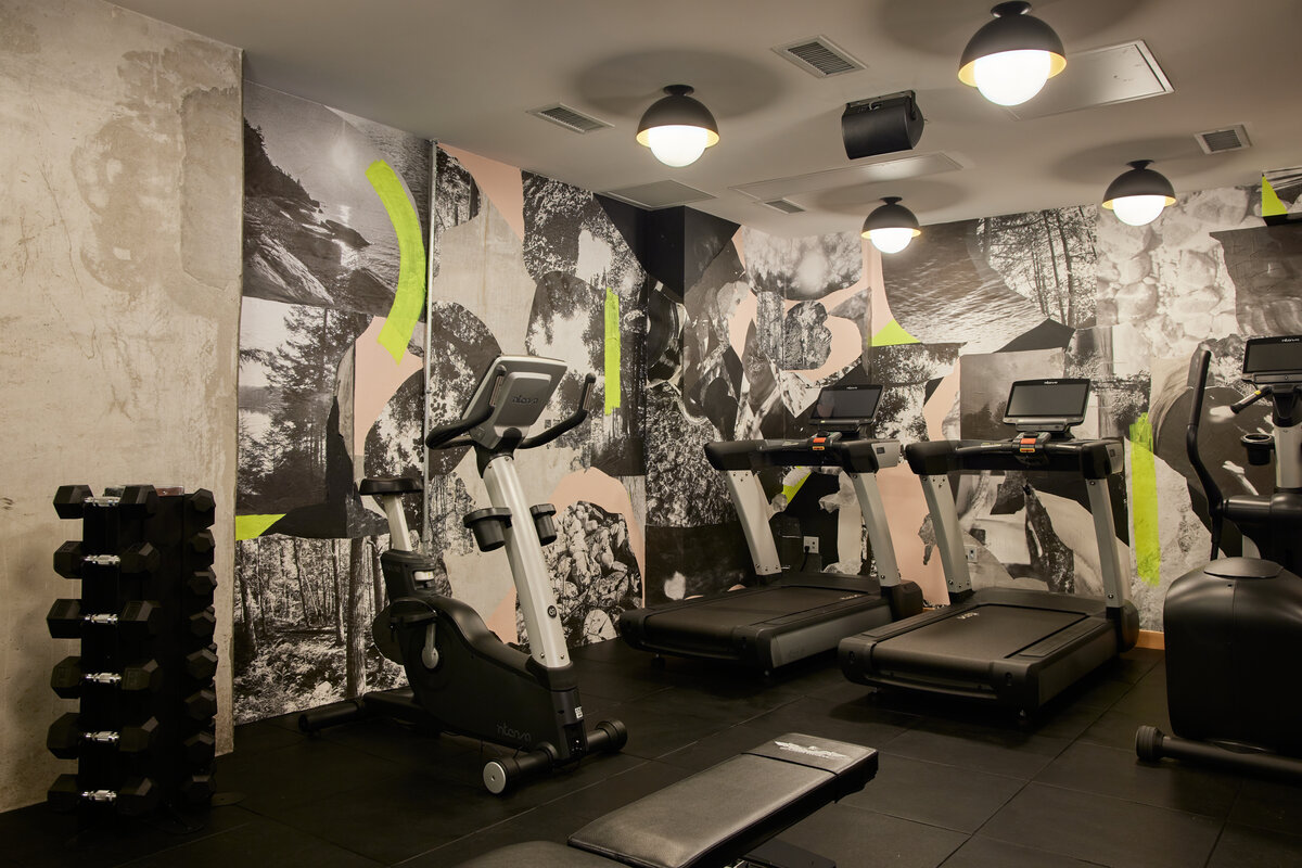 the gym at ace hotel toronto