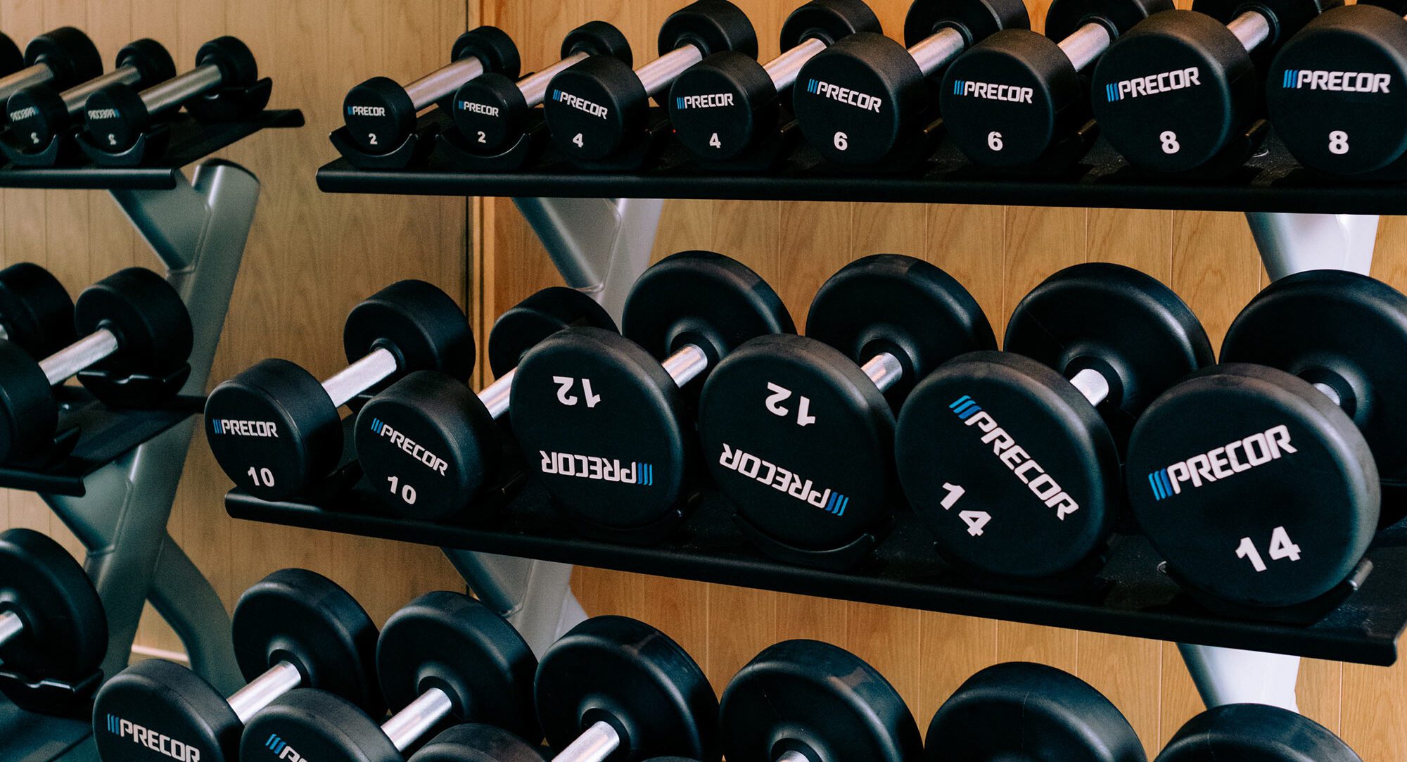Row of black dumbbells neatly organized on a weight rack at Ace Hotel Gym.