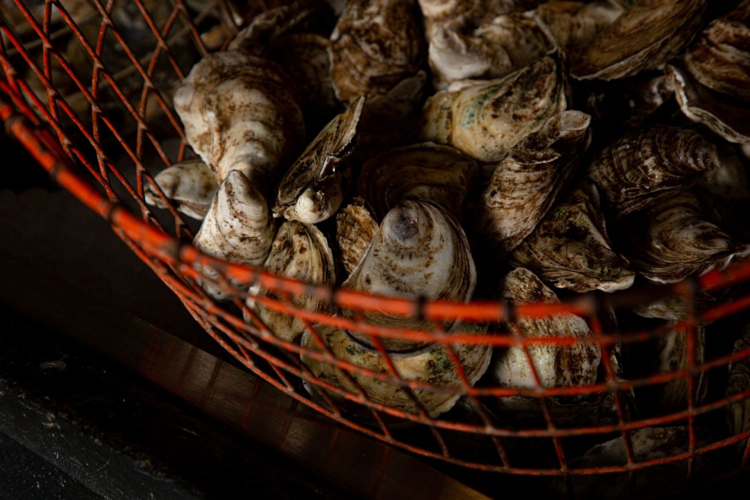 basket of oysters